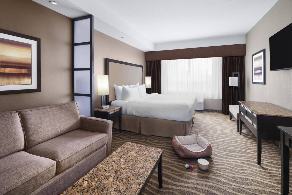 A hotel room with a large bed, a sofa, a desk, and a small seating area.