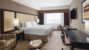 A hotel room with a large bed, a desk, a chair, a sofa, and a pet bed.