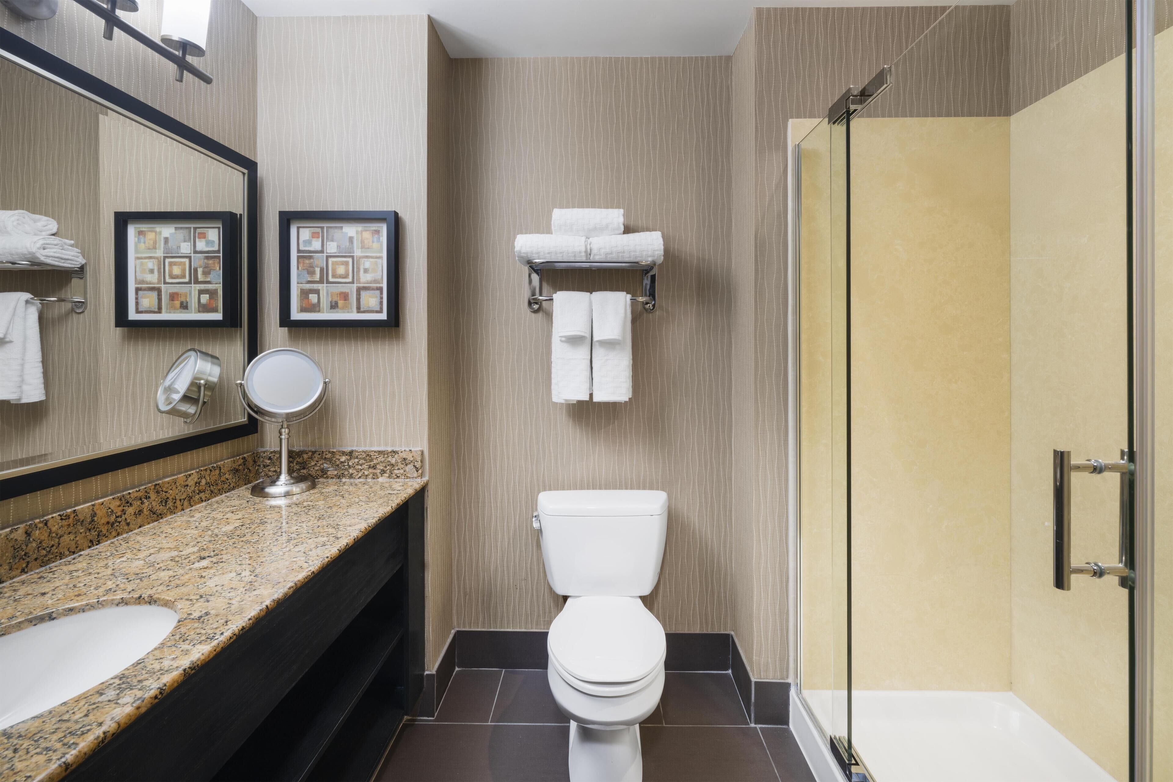 A modern bathroom with a granite countertop, a toilet, a glass shower enclosure, and framed artwork on the wall.