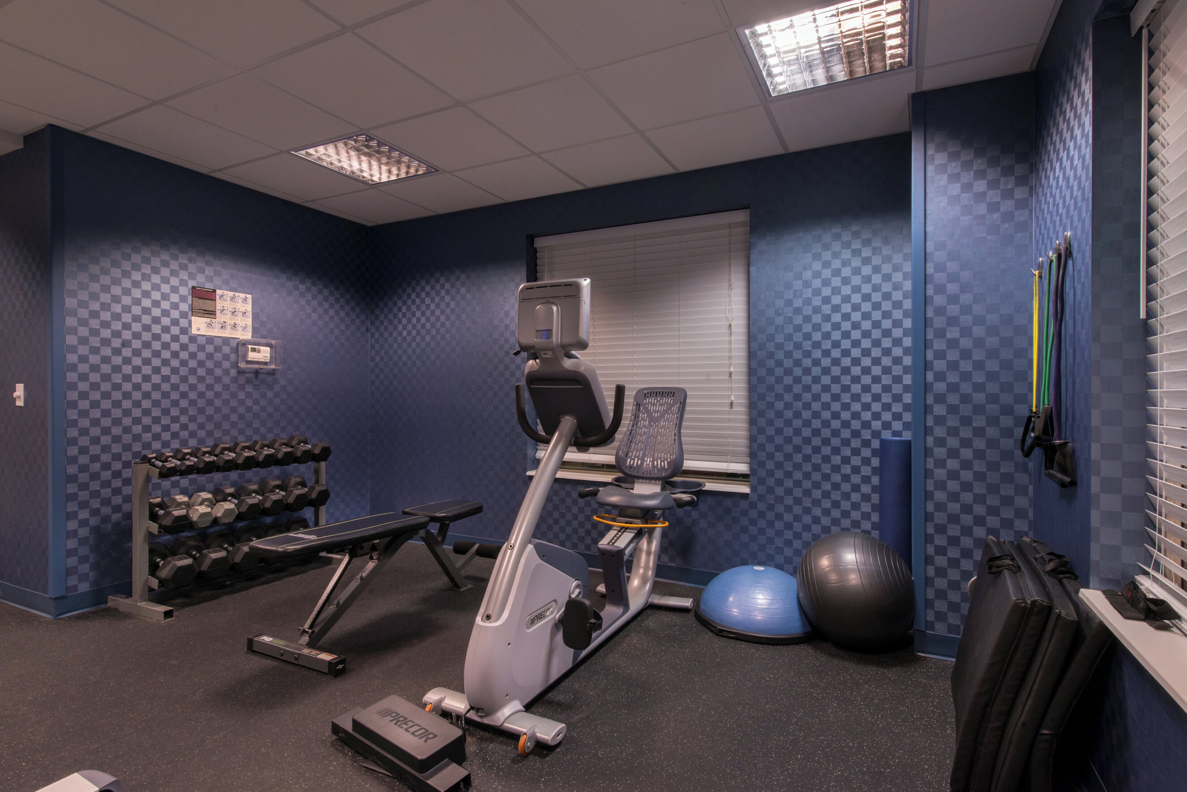 Un gimnasio con equipo de ejercicio, una banca, mancuernas y un soporte de pared.