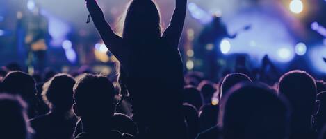 Silhouetten van een menigte met opgetrokken handen, waarschijnlijk tijdens een concert of evenement.