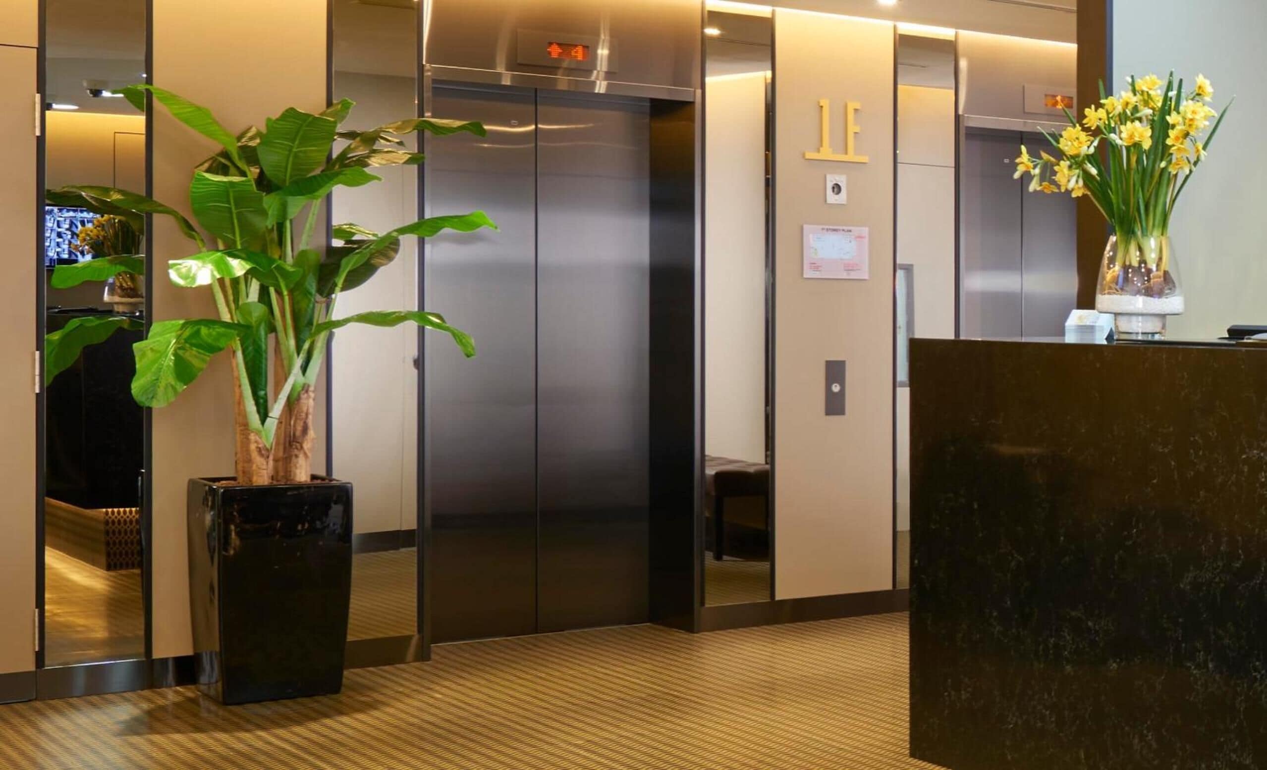 Photo - Hotel 81 Gold