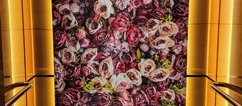 ホテル 81  宮殿ホテル