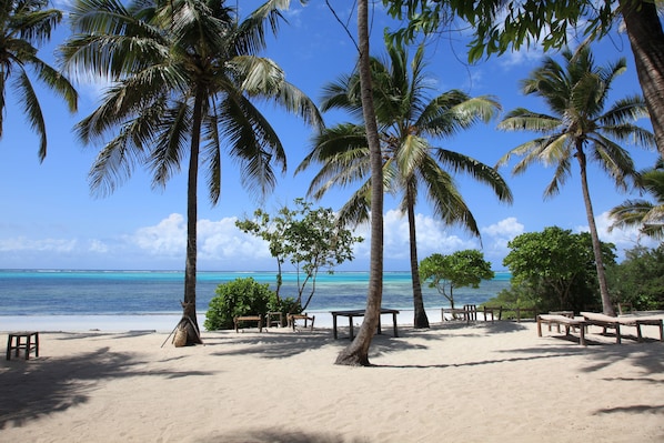 Private beach, white sand, sun loungers, beach towels - Kichanga Lodge (Michamvi)