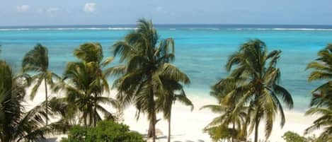 Honeymoon Suite, 1 King Bed | View from room