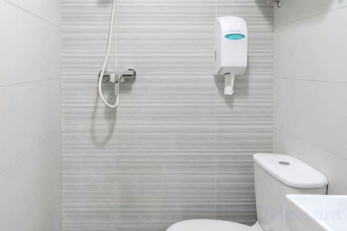 Bathroom | Shower, free toiletries, hair dryer, towels