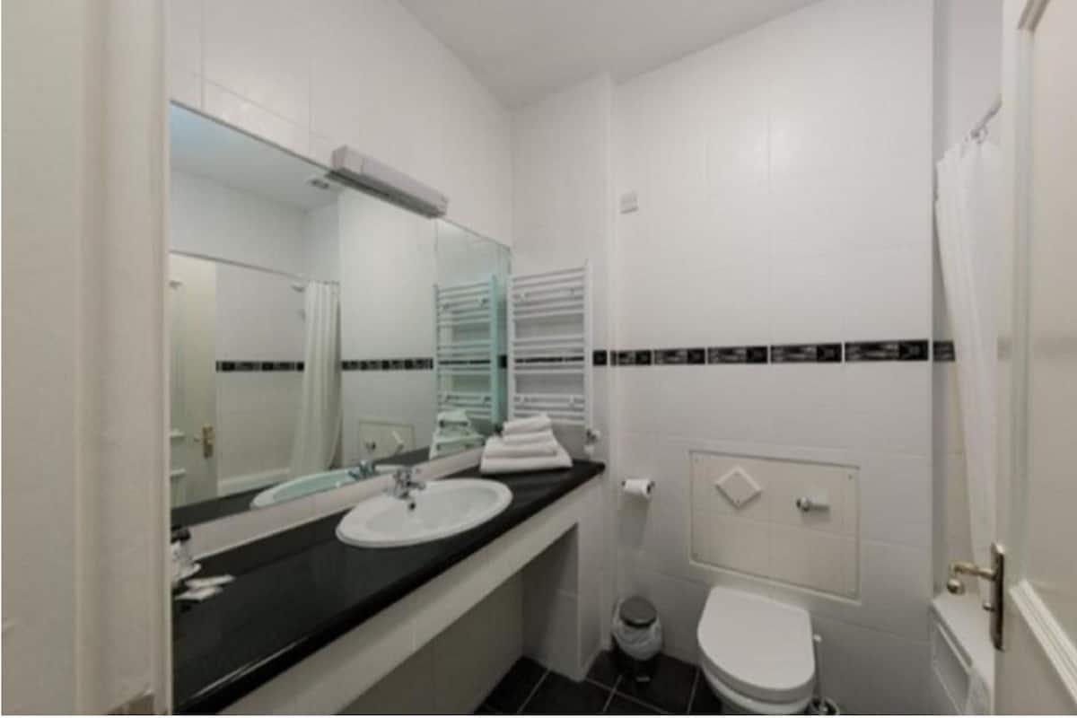 combined shower/bathtub, free toiletries, hair dryer, towels