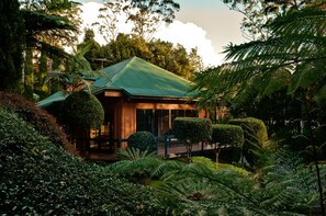 Hot stone massages, deep-tissue massages, facials