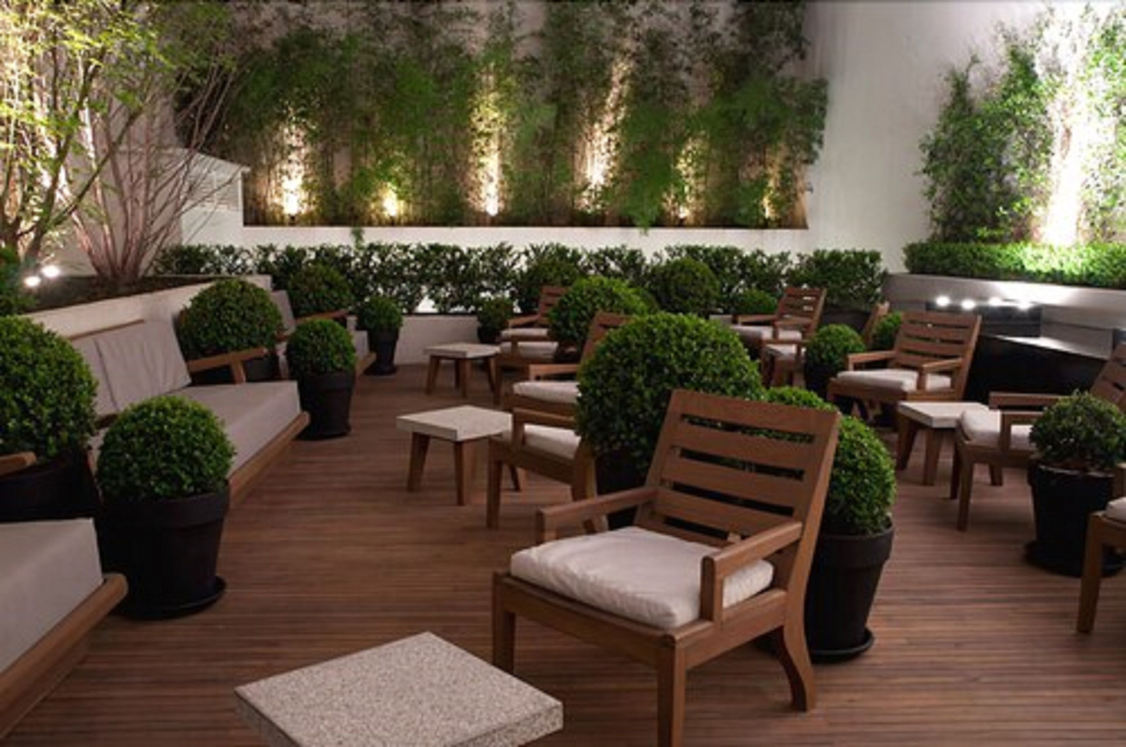 Terraza o patio