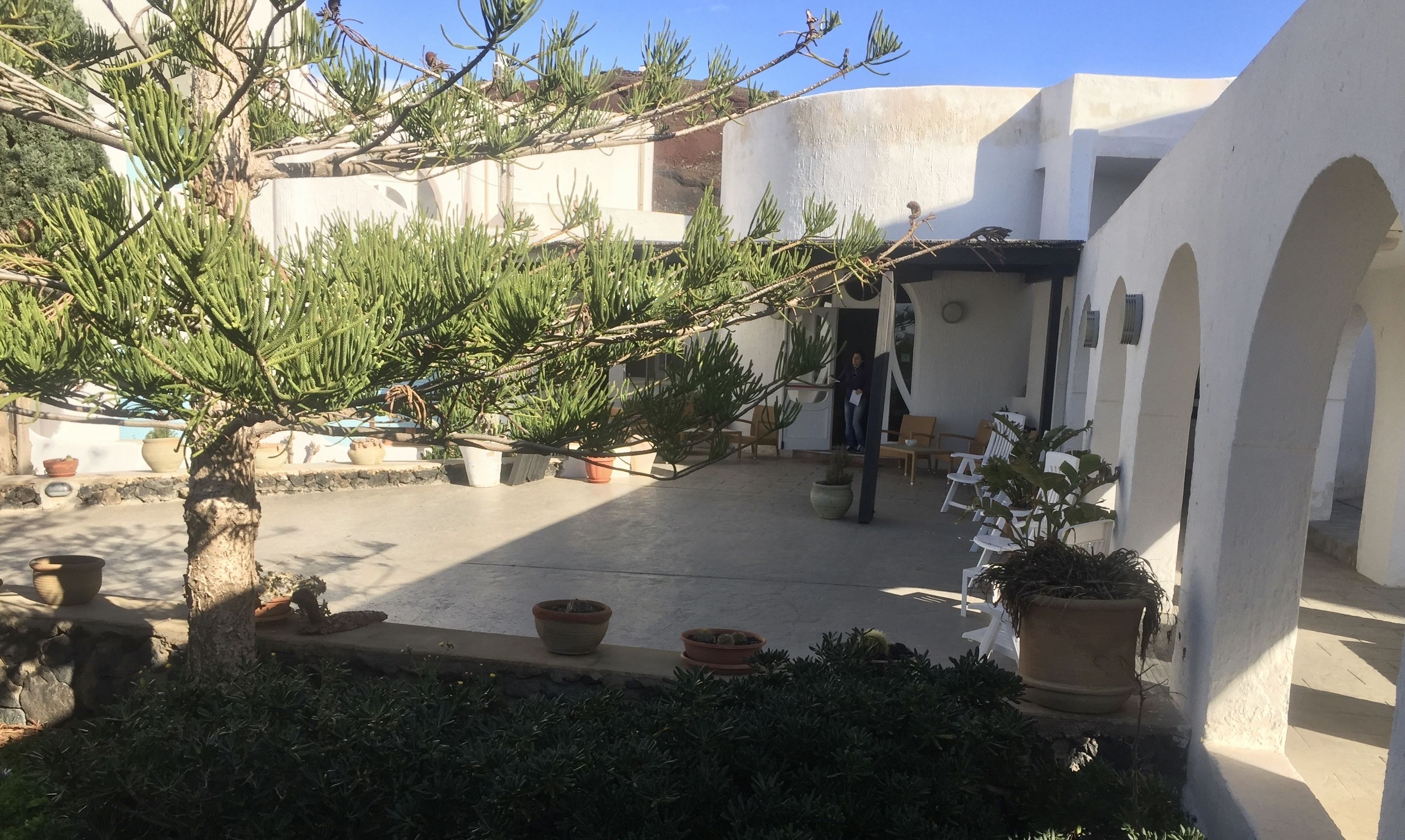Un patio con cactus en macetas y un pequeño árbol, rodeado de muros y arcos blancos.