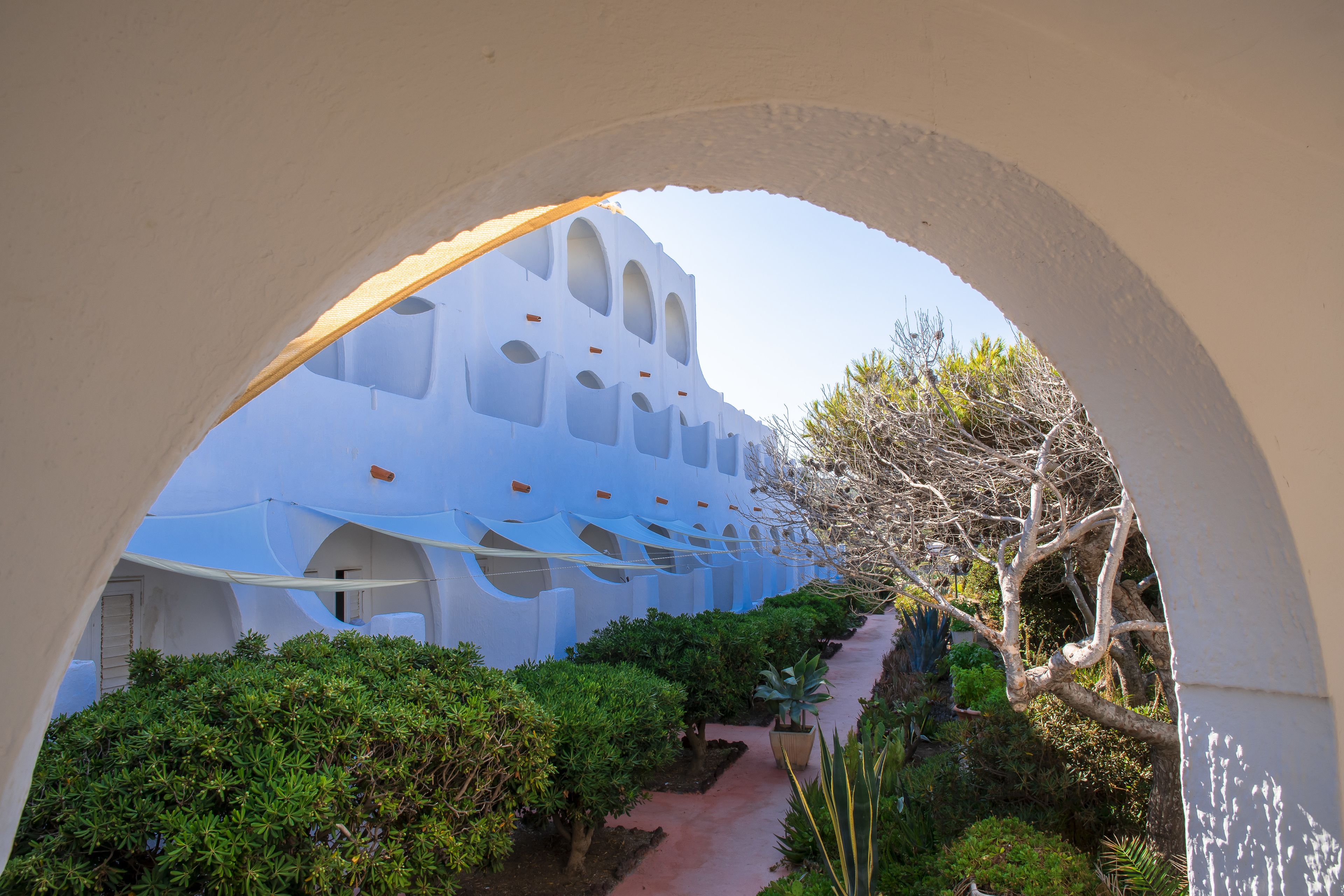 classic double room | garden view