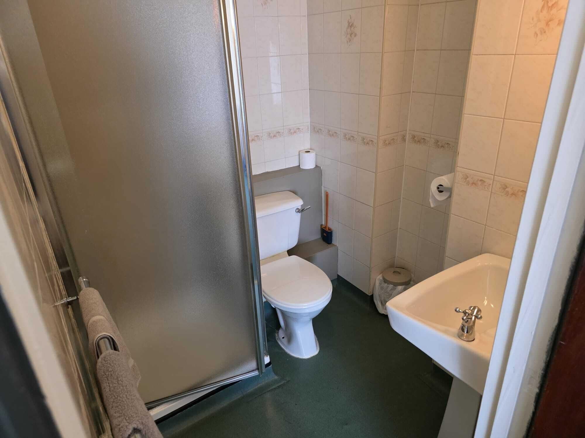 A small bathroom with a toilet, a sink, and a shower.