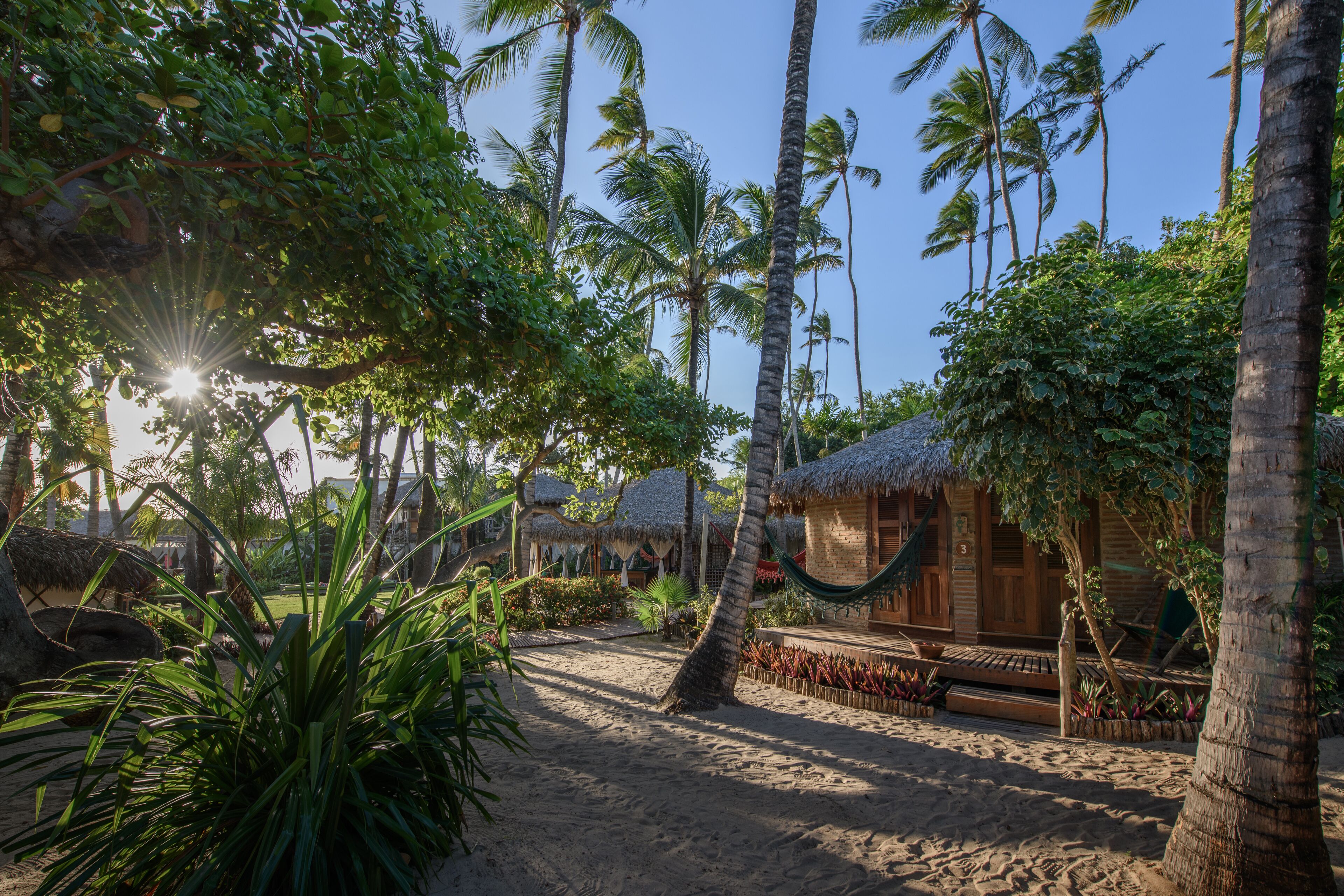 A tropical resort with thatched-roof huts, palm trees, and a sandy path.