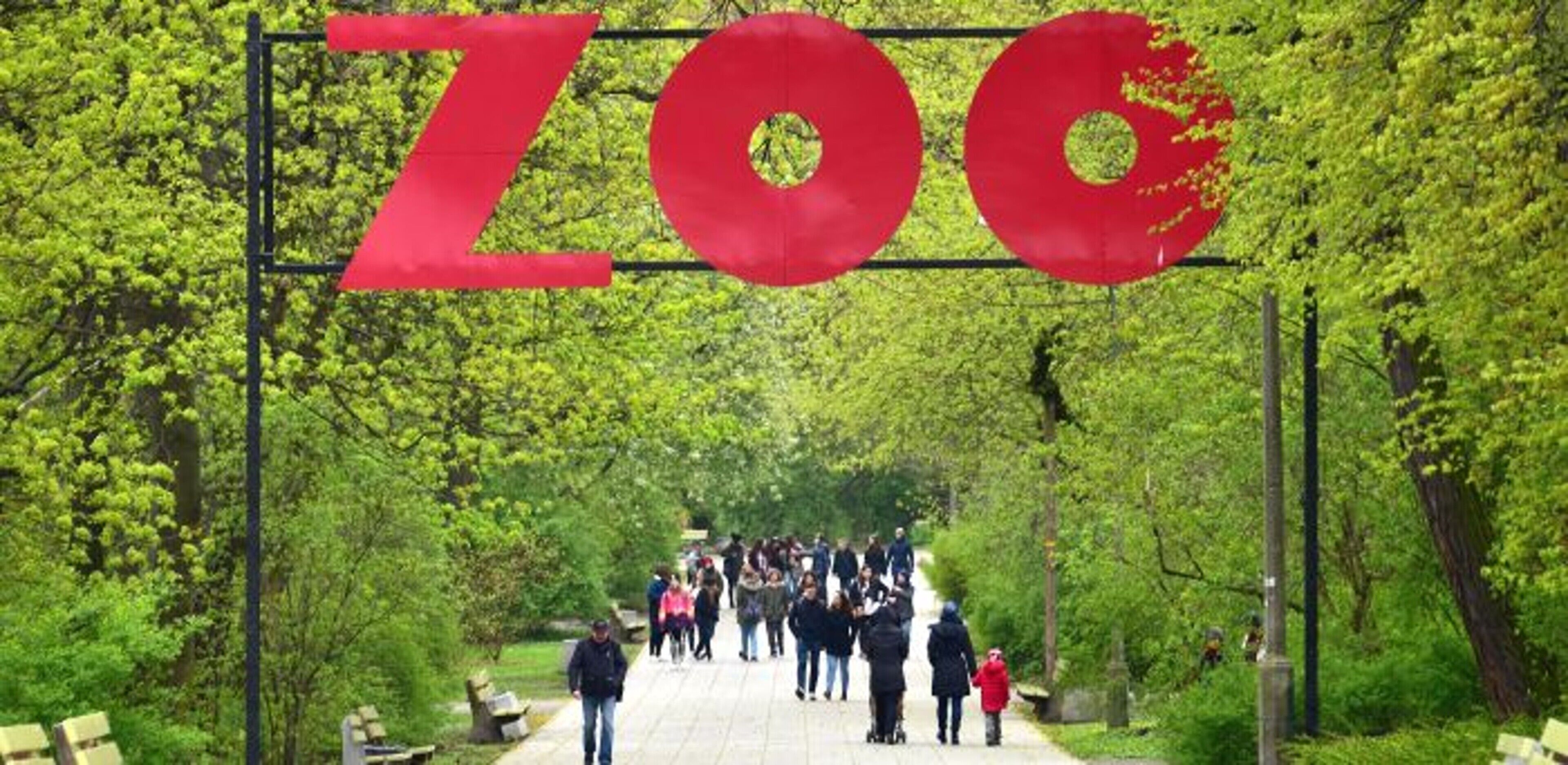 A pathway with a large red sign spelling "ZOG" amidst lush greenery.