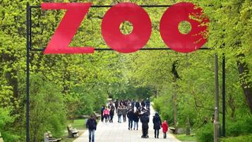 A pathway with a large red sign spelling "ZOG" amidst lush greenery.