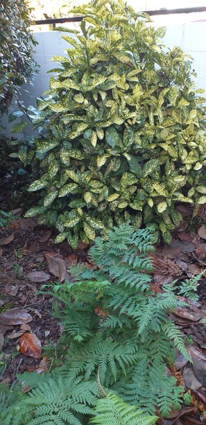 Executive Apartment, 1 Bedroom | View from room