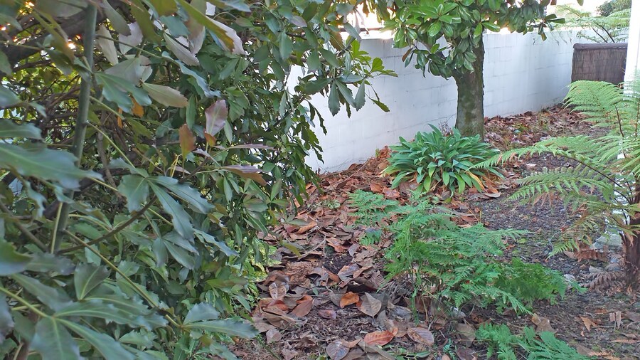 Shadzz Motel & Conference Centre