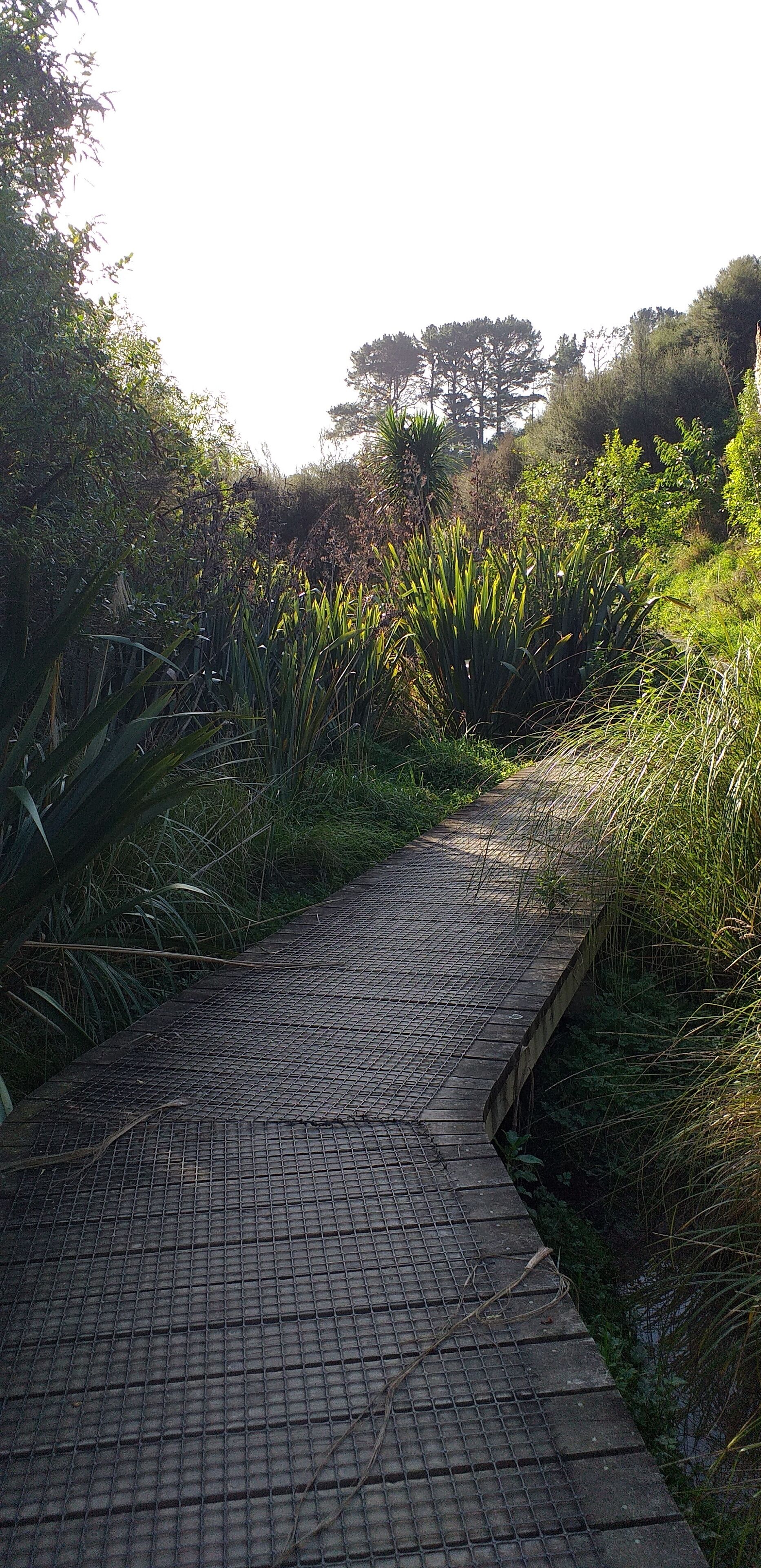 Un sendero pavimentado que atraviesa un jardín con abundante follaje a ambos lados.