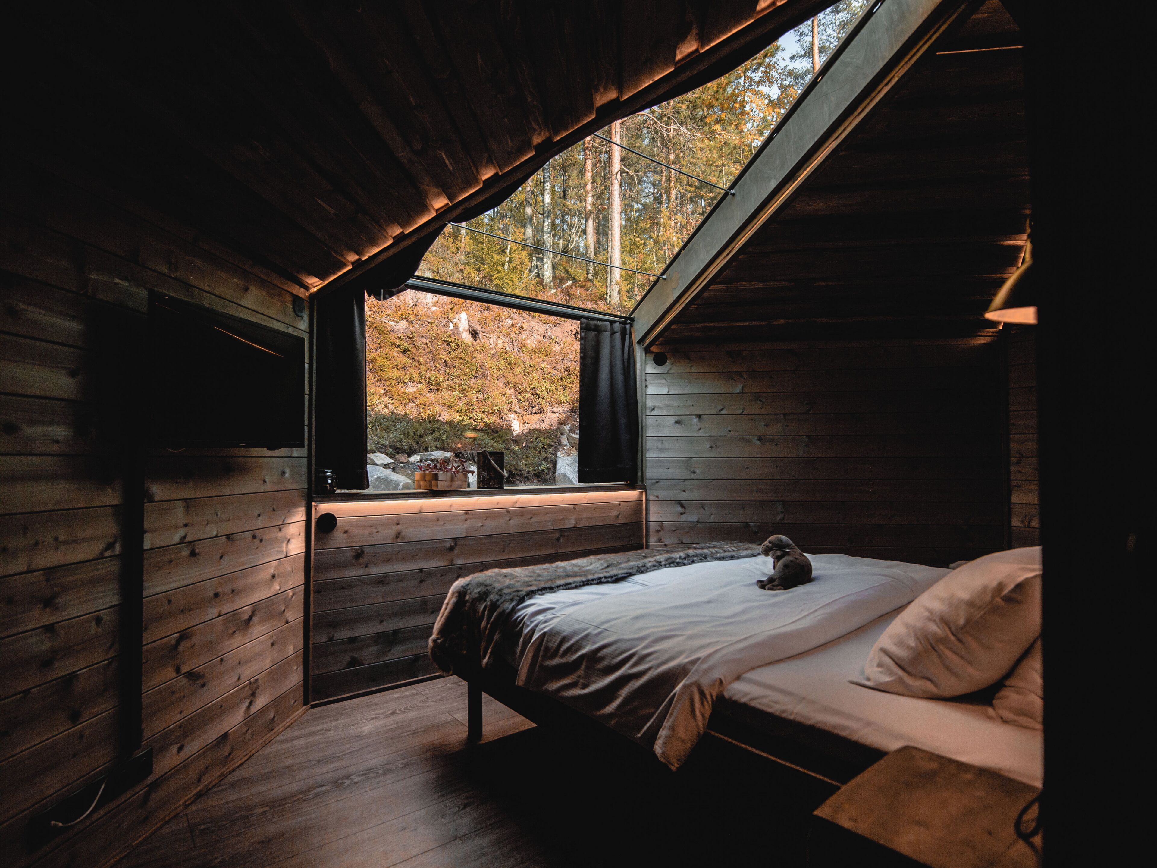 Eine Hütte mit einem Bett, einem Fenster und Blick auf Bäume.