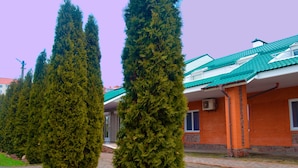 Un edificio con techo verde y fachada de ladrillo. Hay árboles altos y con forma cónica al frente.