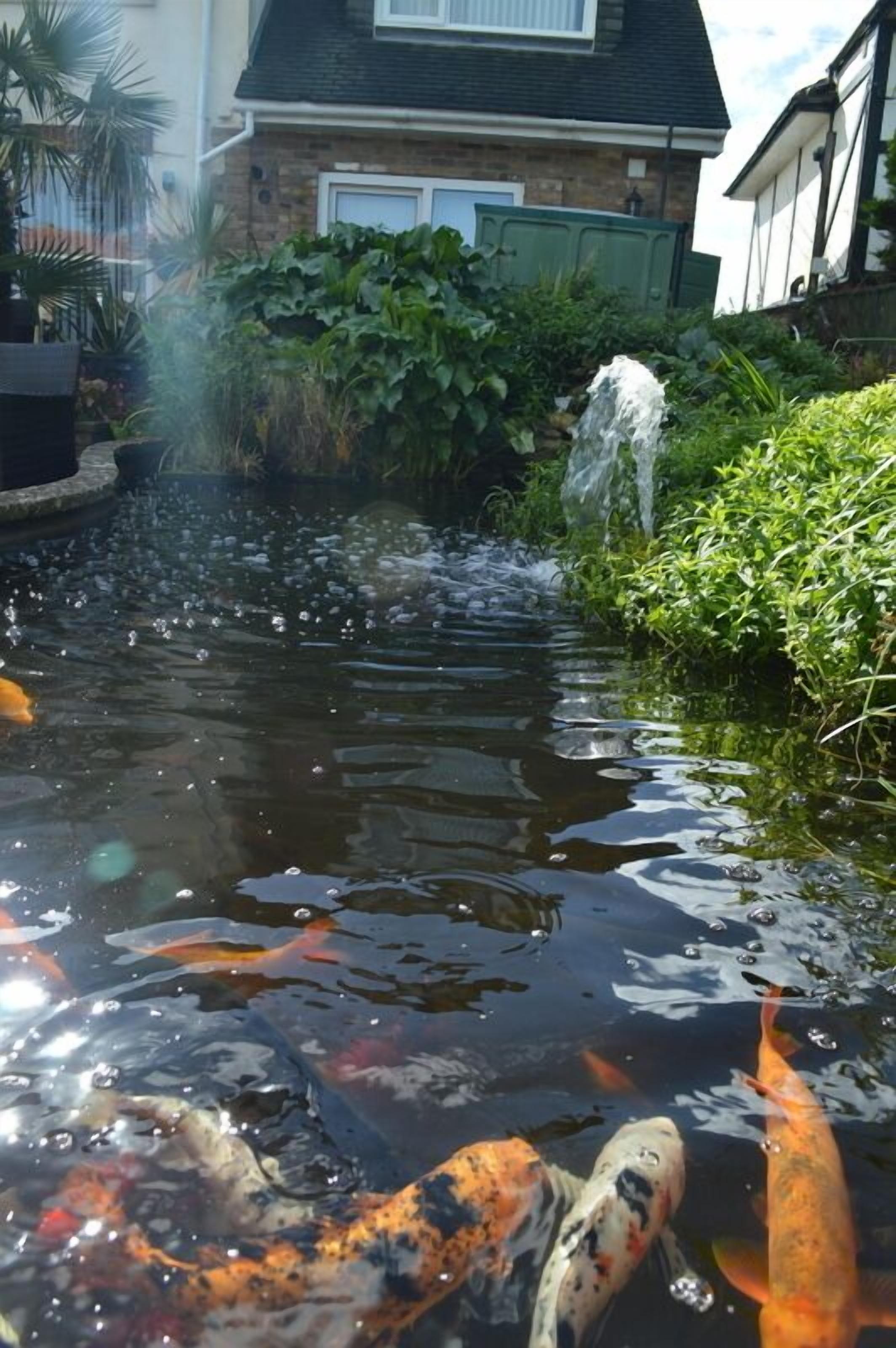 Um lago com carpas, vitórias-régias e uma pequena cascata, rodeado por vegetação exuberante e um edifício de tijolos ao fundo.