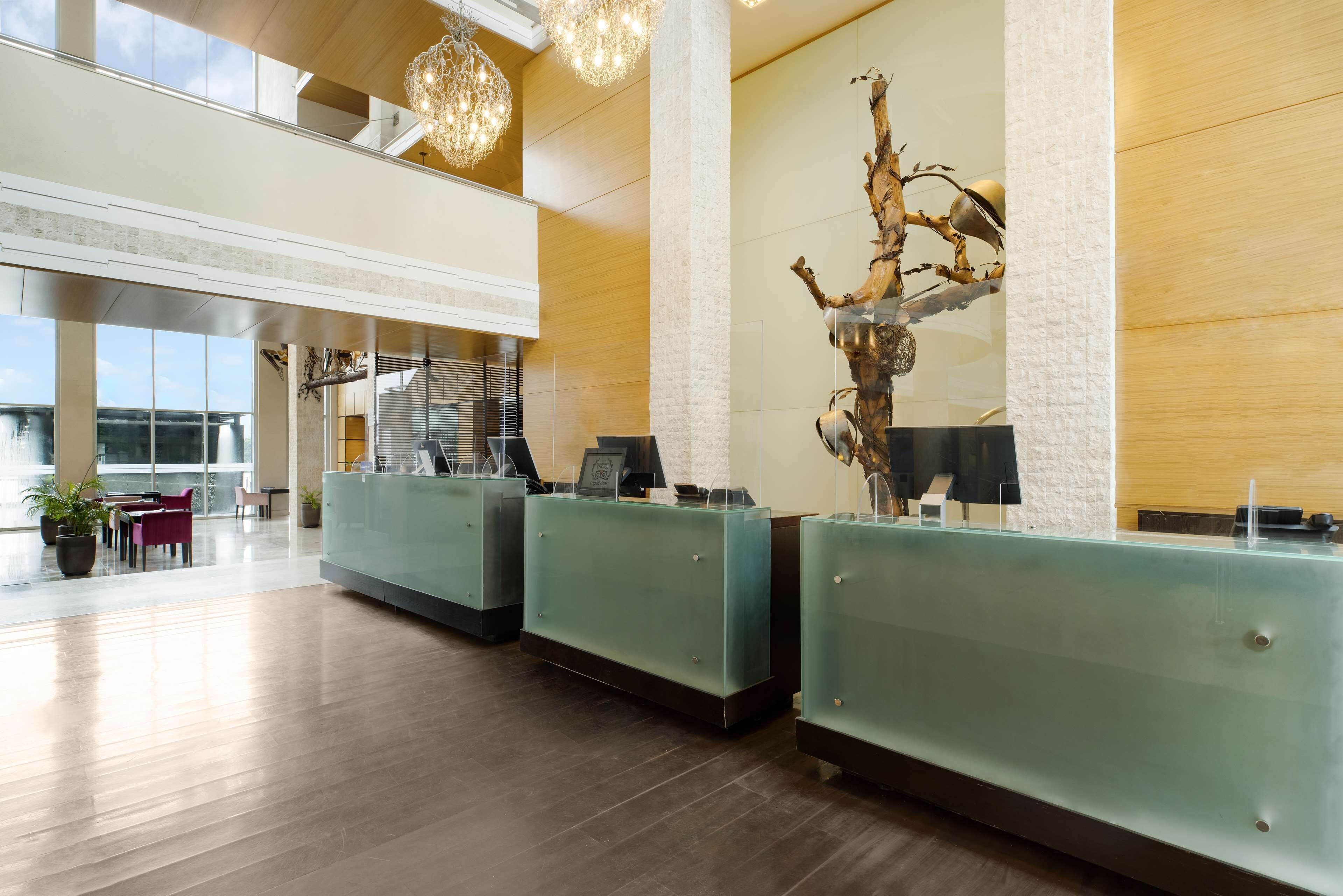 A modern reception area with glass counters, a large decorative tree sculpture, and a view of the outdoors.