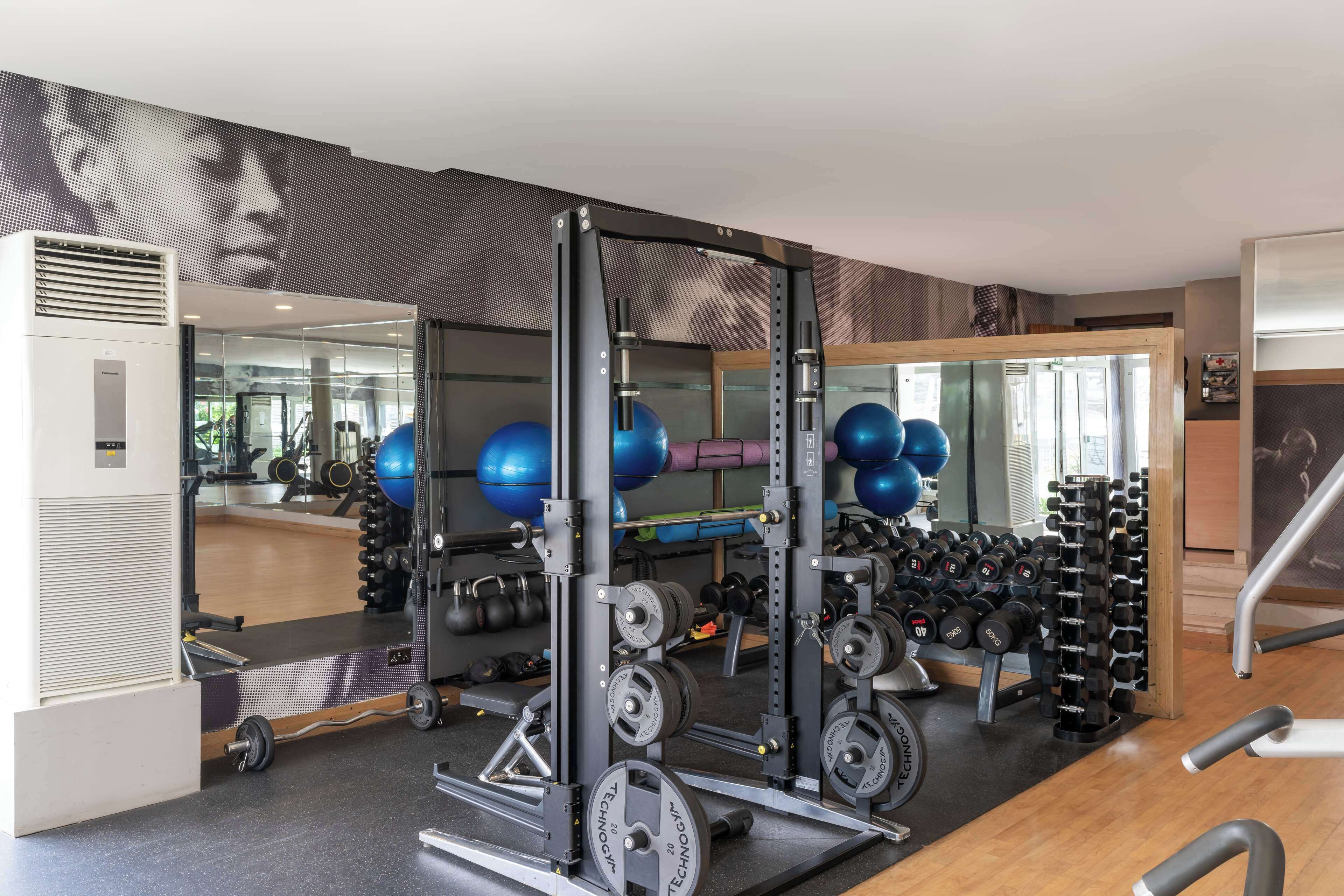 A gym with a squat rack, free weights, and exercise balls.