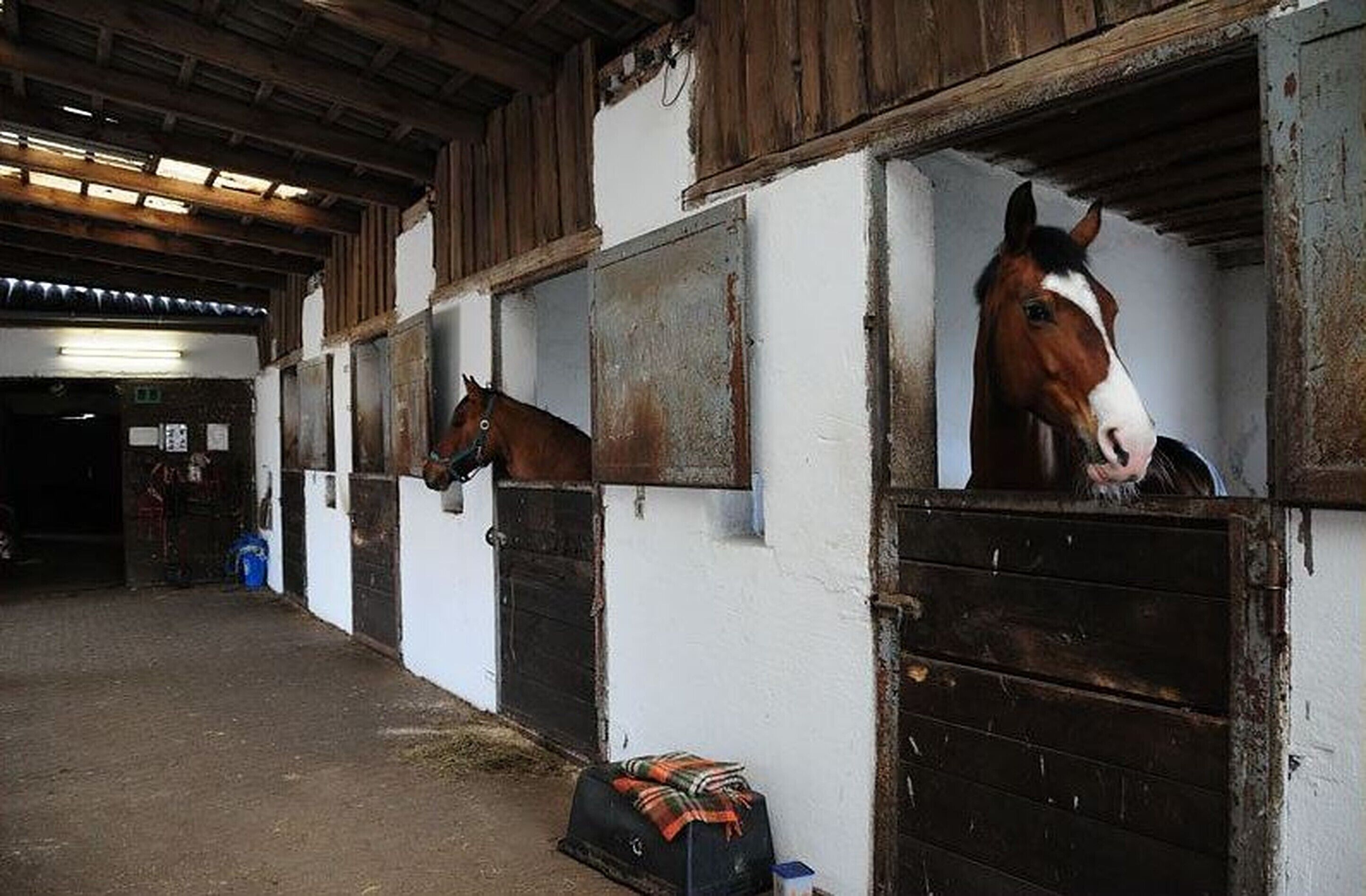 A stable with wooden stalls and a horse visible in one stall.