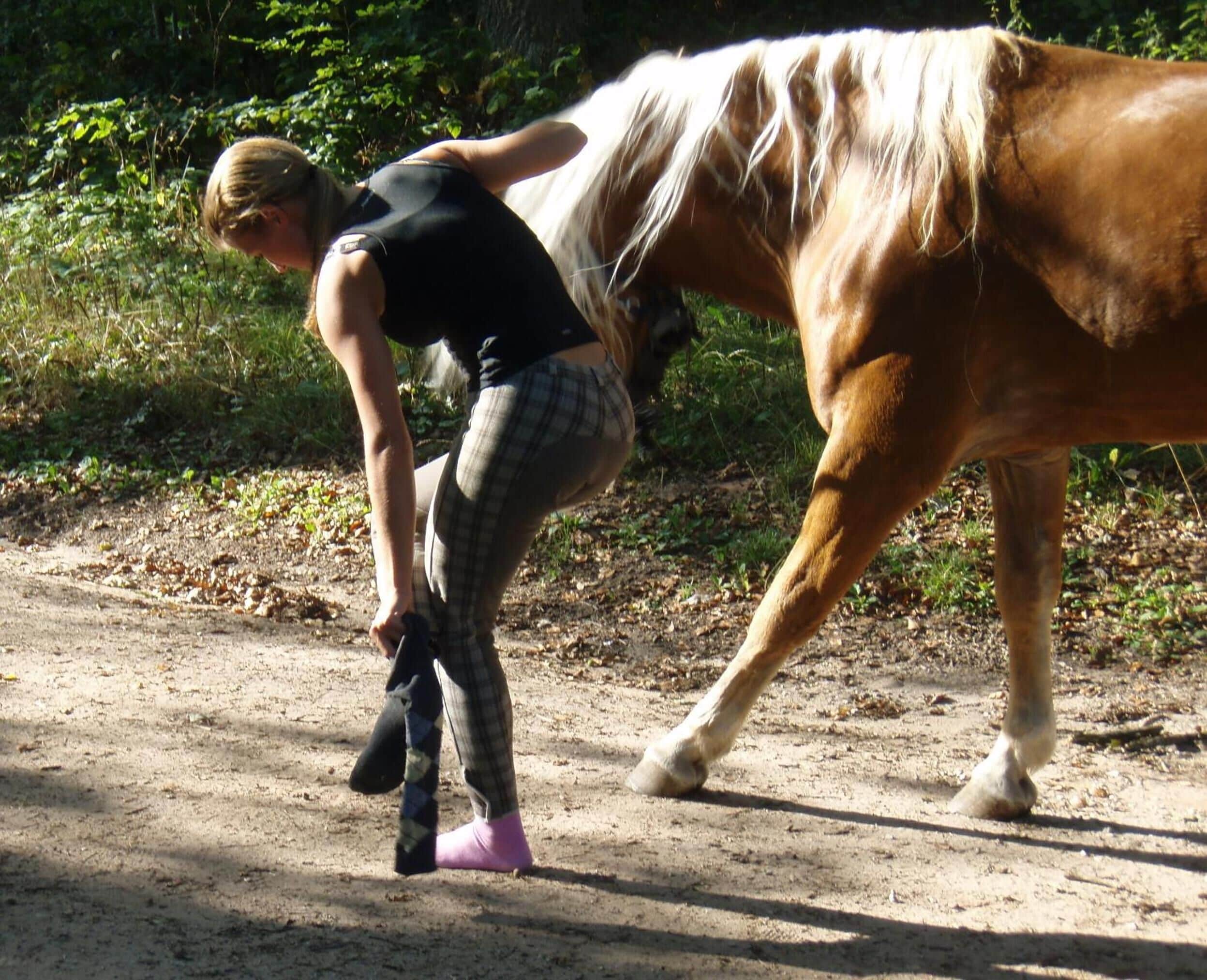A person leading a horse on a dirt path surrounded by greenery.