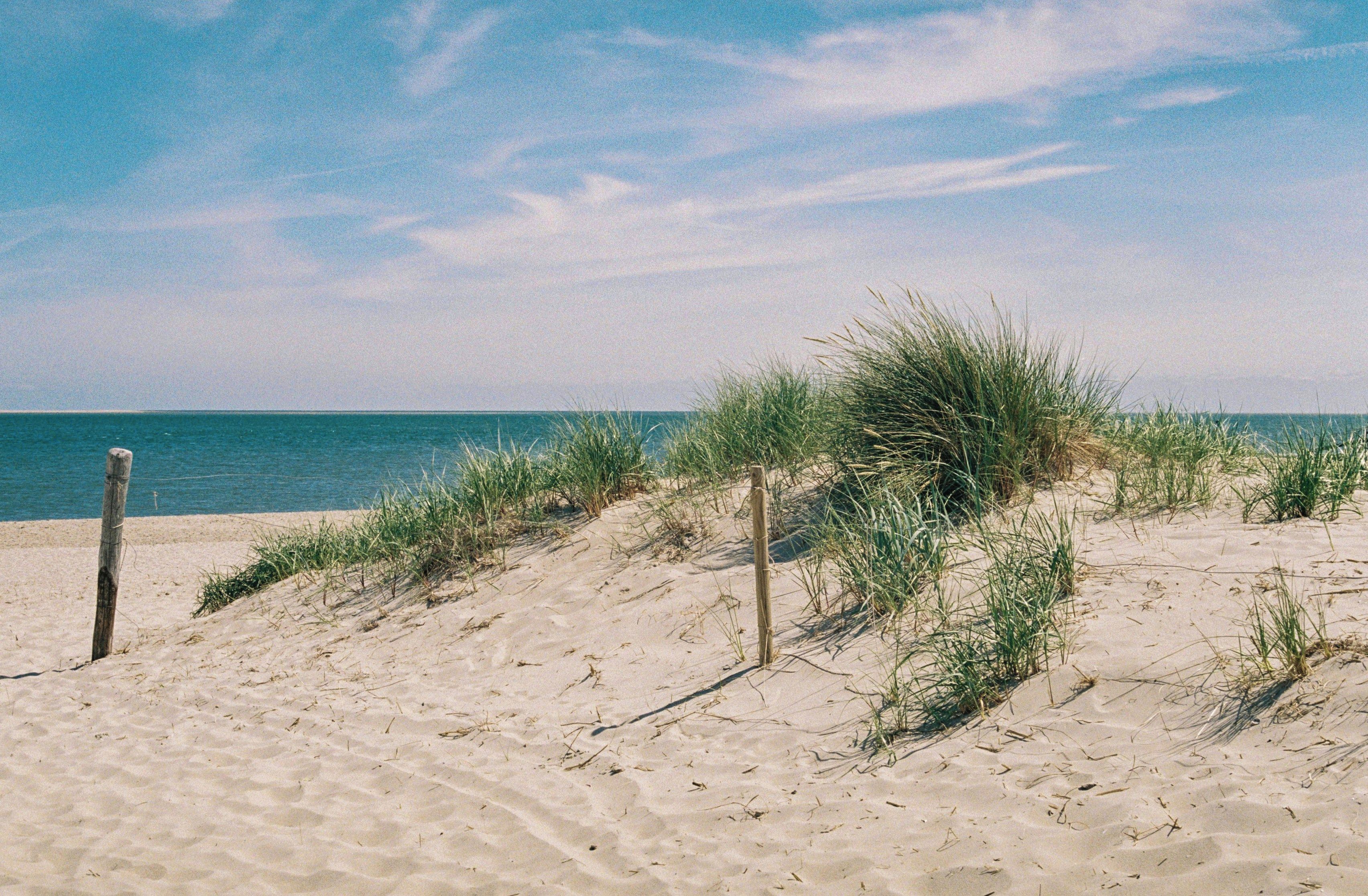 Una playa arenosa con dunas y un poste de madera.