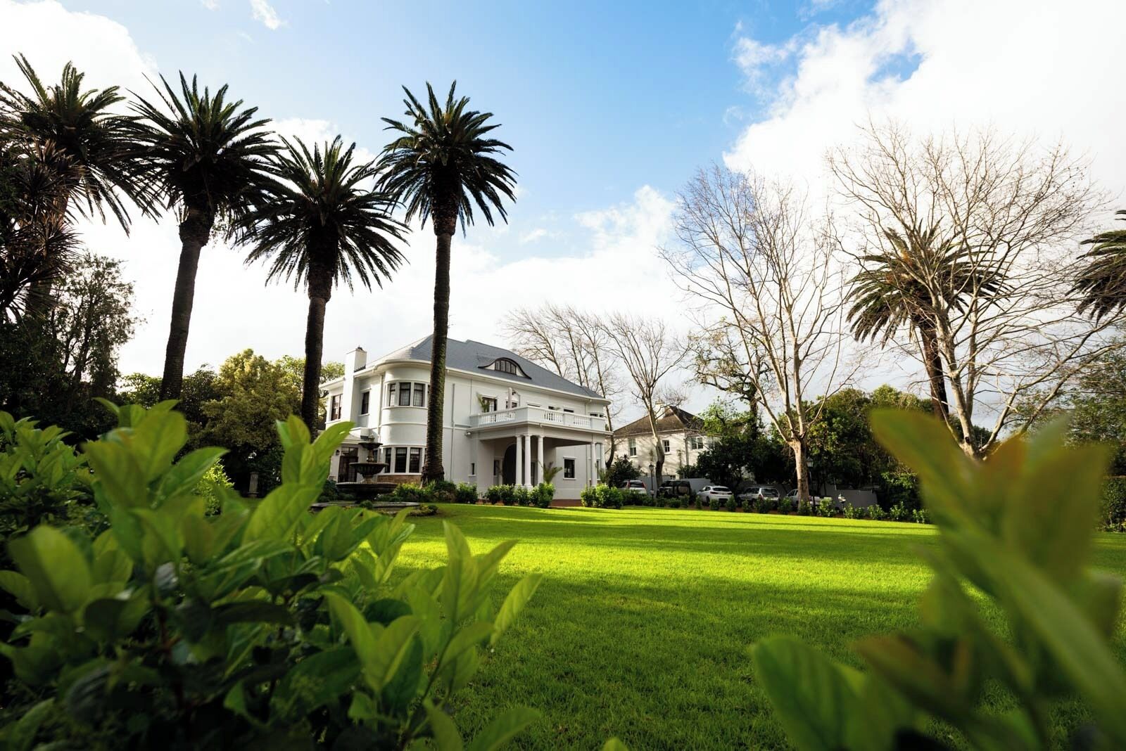 Foto - Palm House Boutique Hotel and Spa