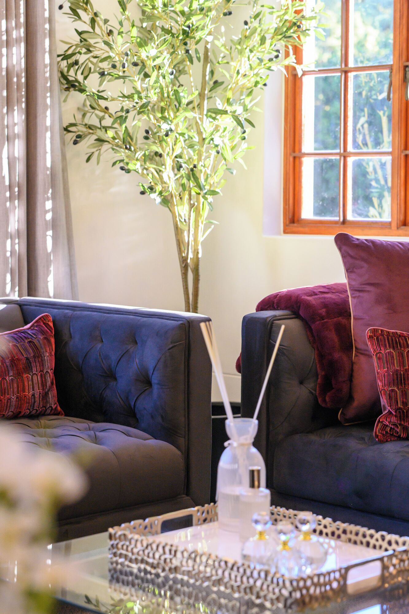 A living room with two dark sofas, a glass coffee table, and a large plant.