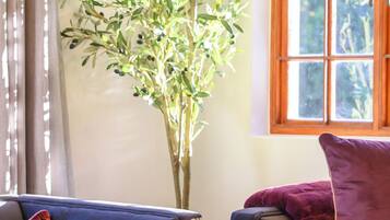 A living room with two dark sofas, a glass coffee table, and a large plant.