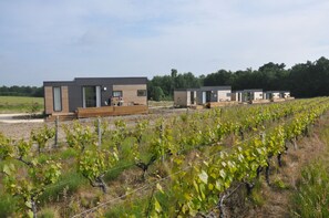 Premium bedding, minibar, soundproofing, cribs/infant beds - Les Pierres d'Aurèle (Saint-Georges-sur-Cher)