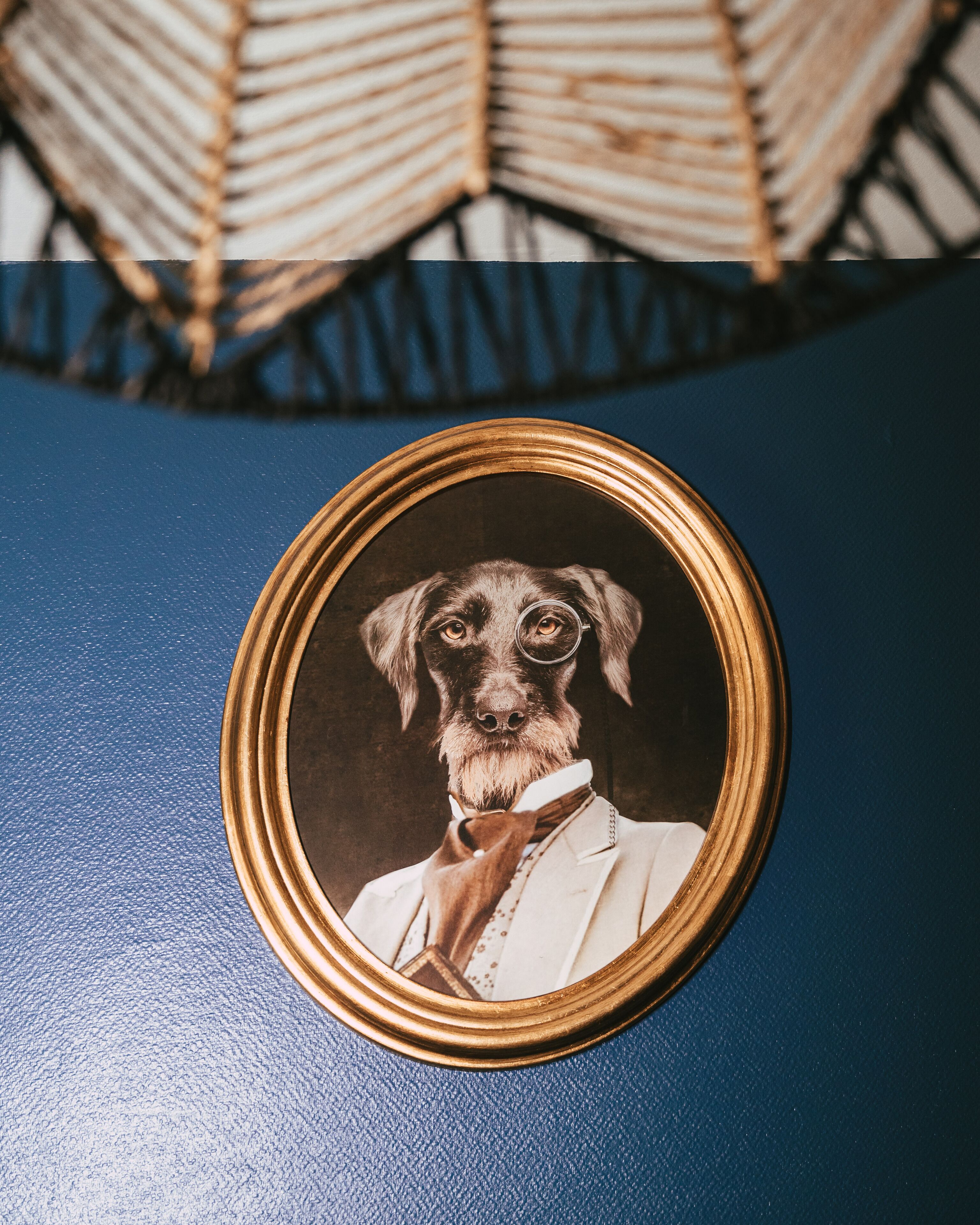 Une photographie encadrée représentant un chien portant un costume élégant, posée sur un fond bleu.