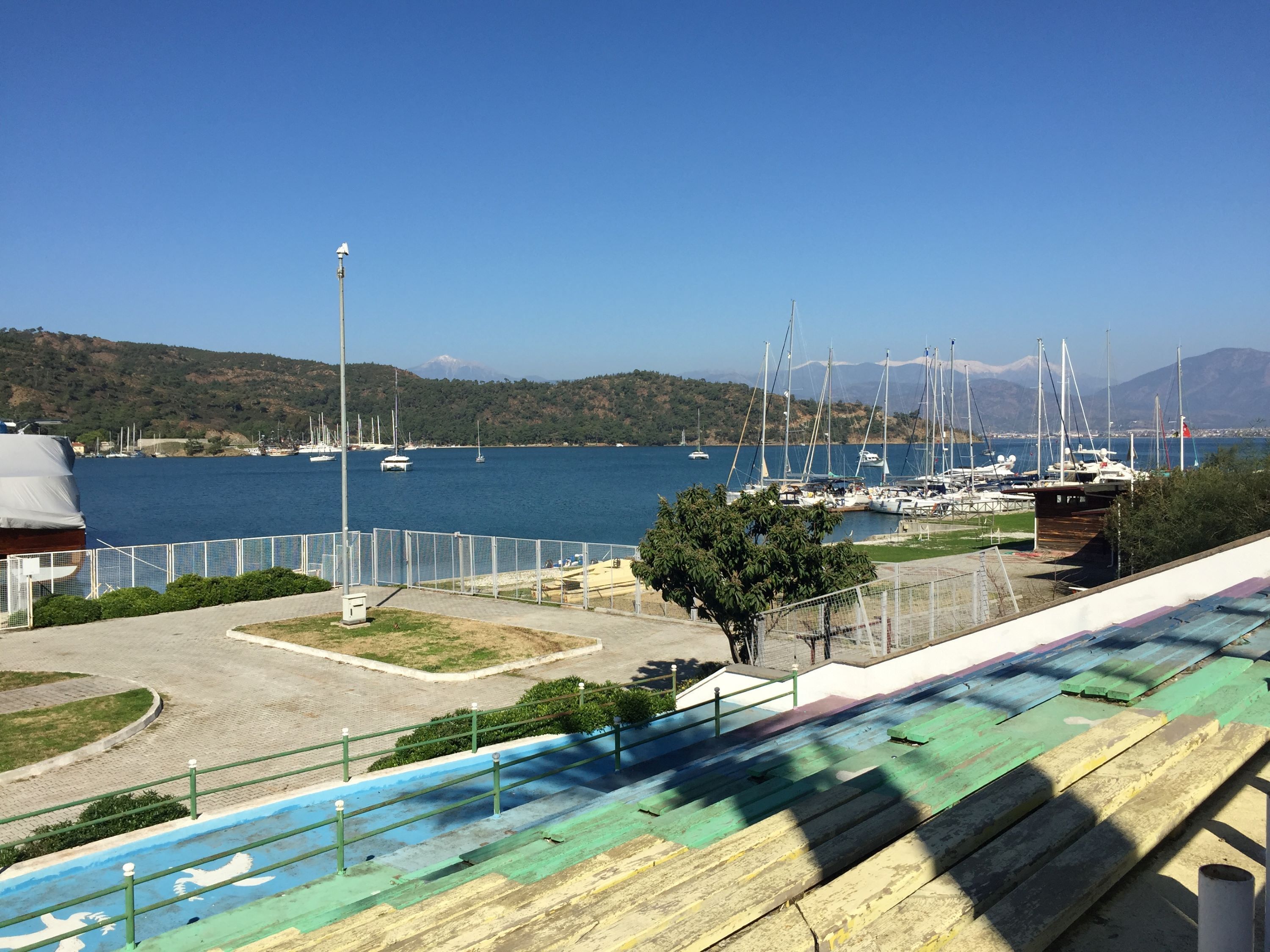 Photo - Hotel Villa Daffodil