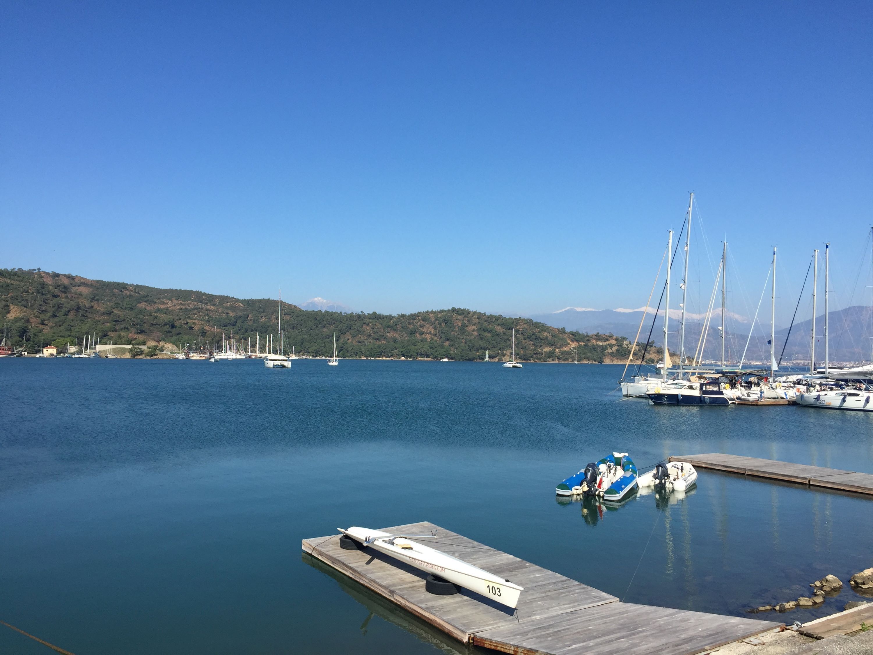 Photo - Hotel Villa Daffodil