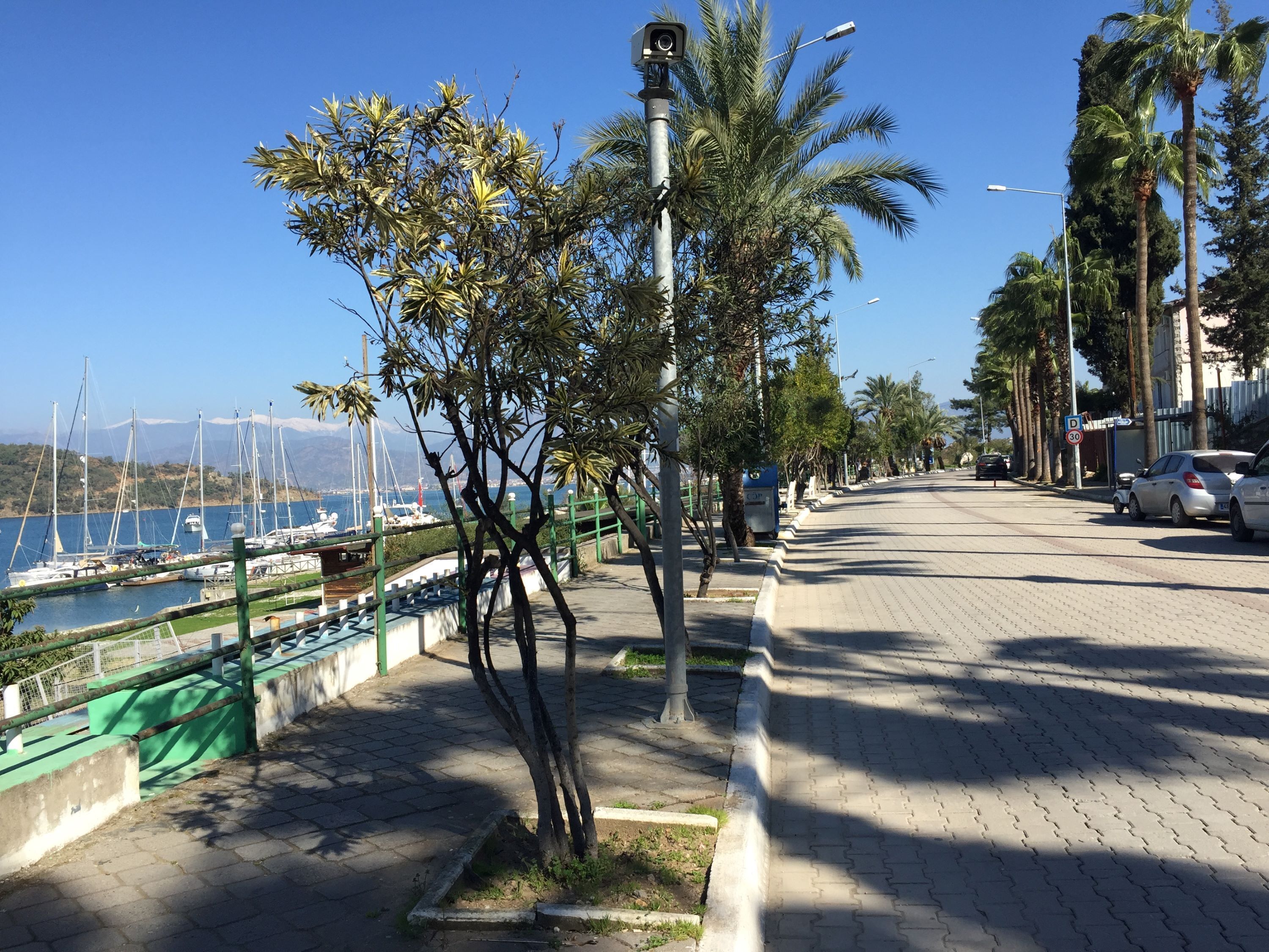 Photo - Hotel Villa Daffodil