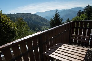 Double Room, Mountain View | Balcony