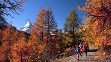Wandern