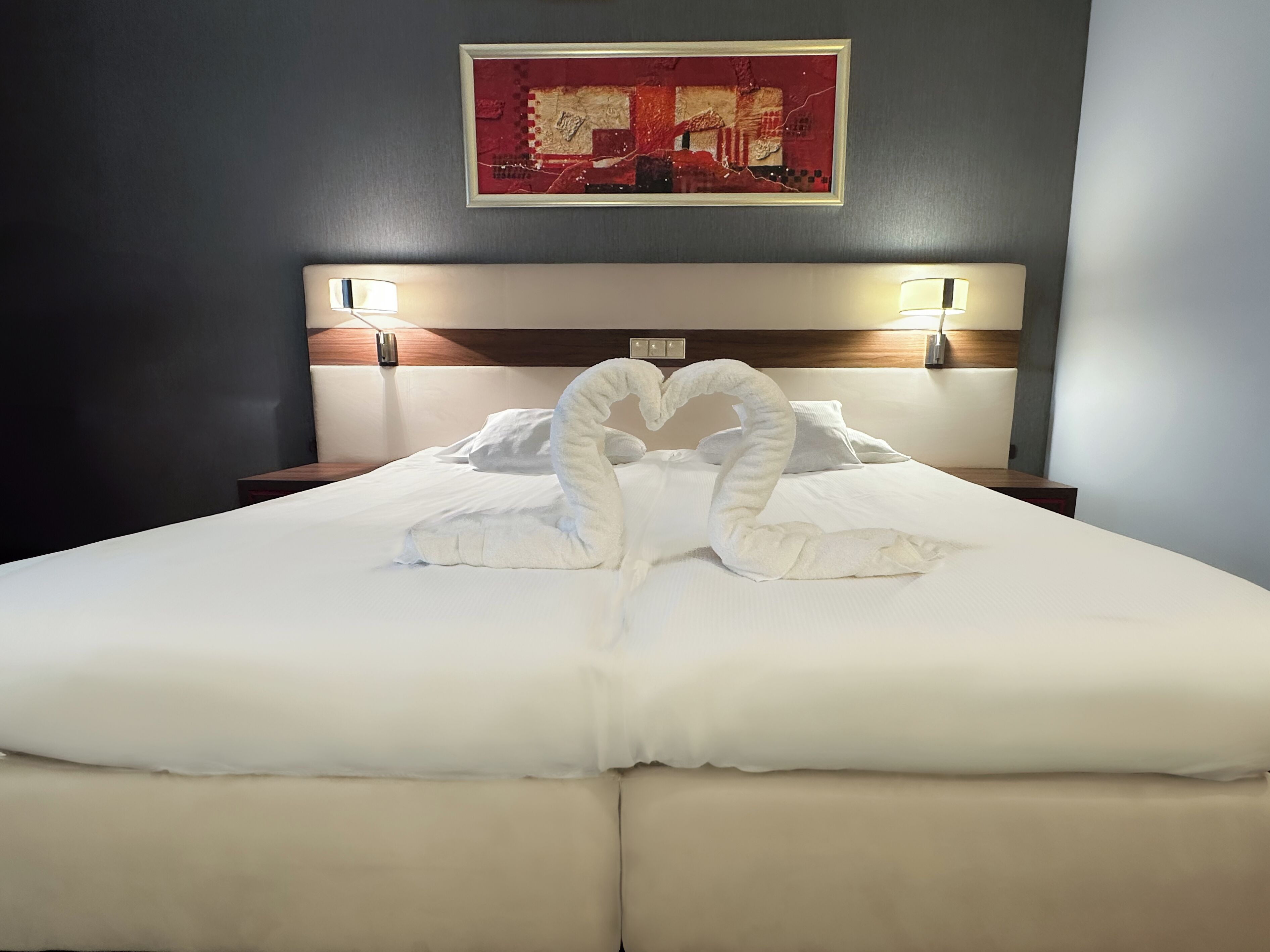 business double or twin room | hypo-allergenic bedding, minibar, in-room safe, desk