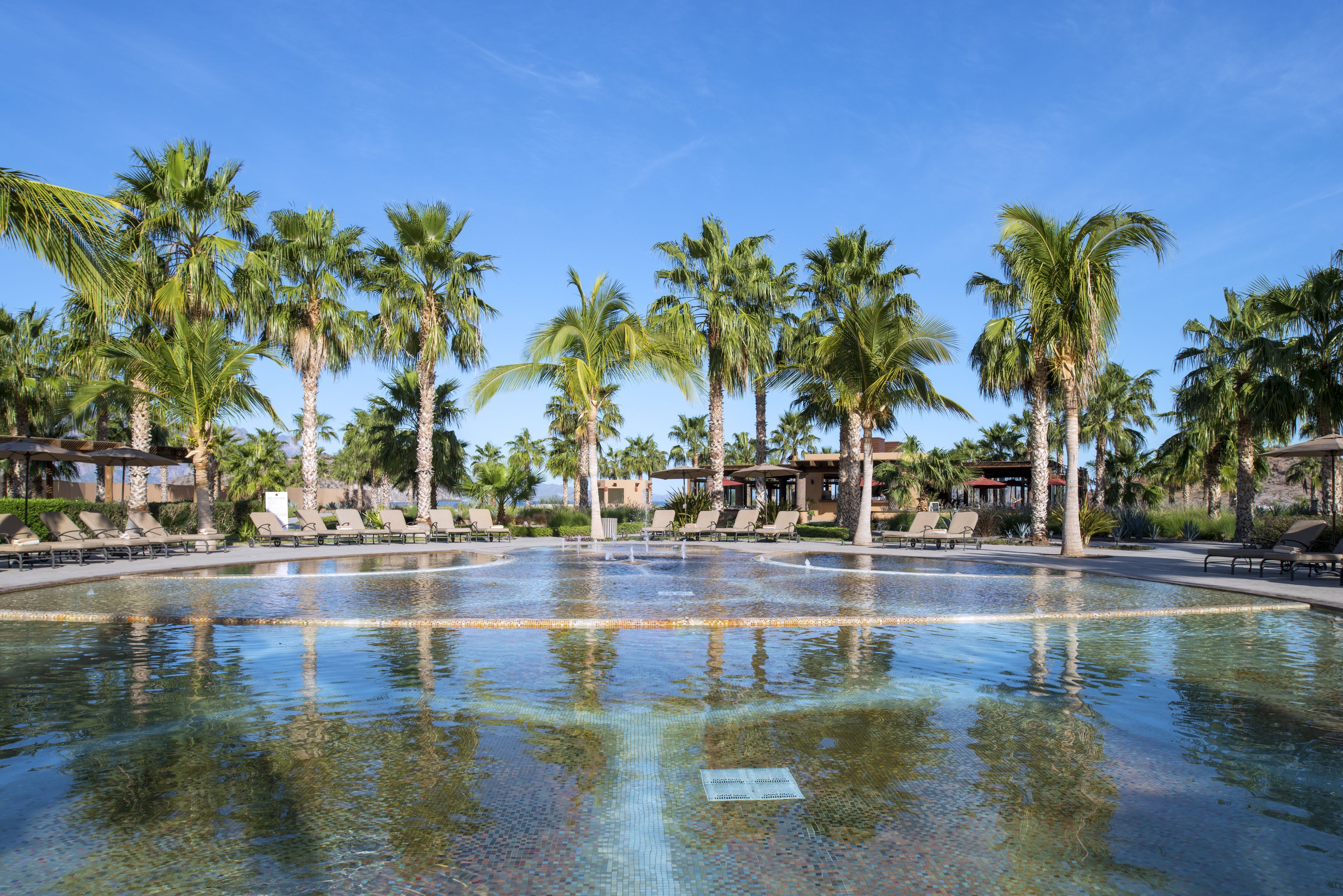 Une piscine bordée de palmiers et dotée de chaises longues.