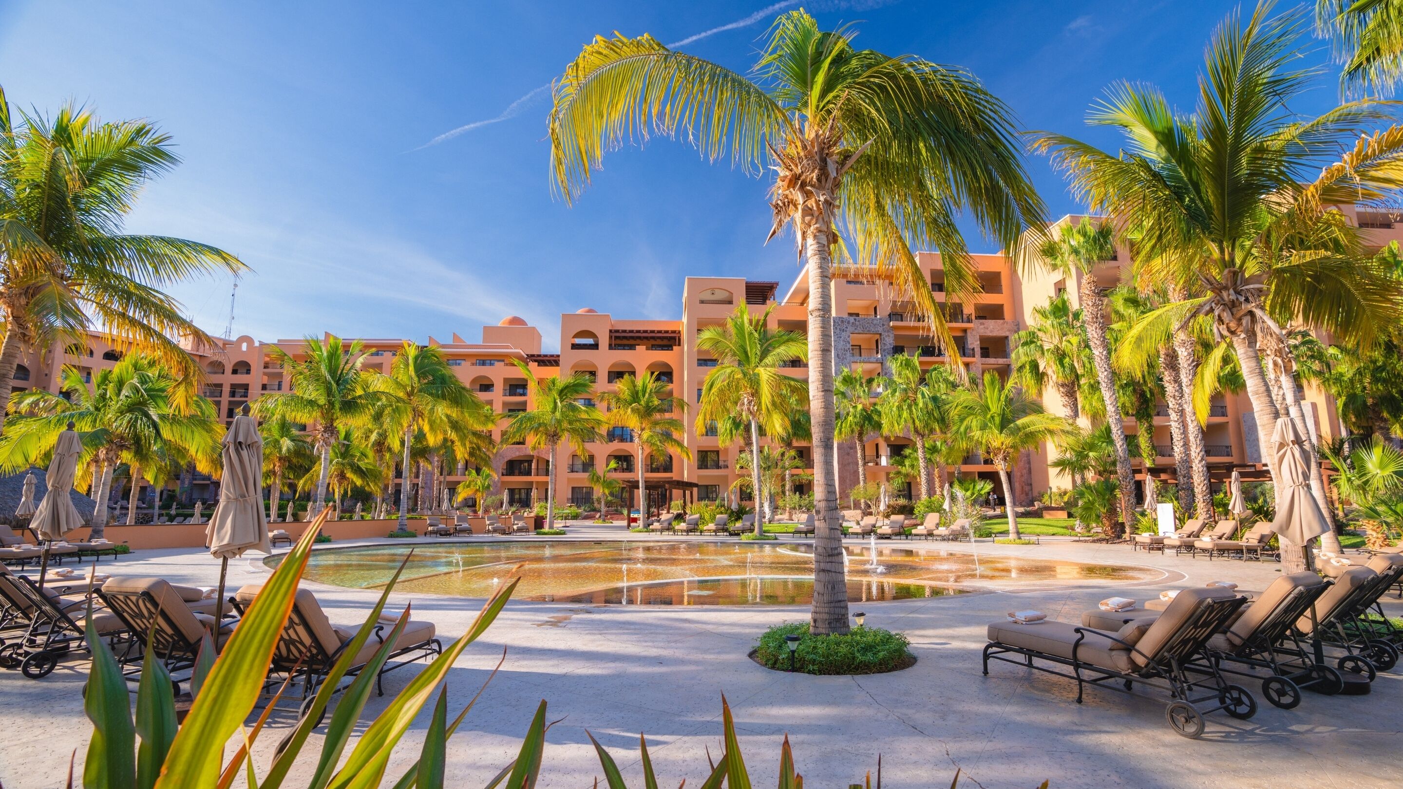 Een resort met een zwembad, palmbomen en ligbedden.