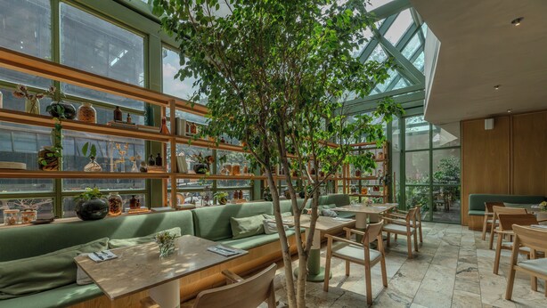 Una cafetería acogedora con asientos verdes, mesas de madera y un gran árbol en el centro.