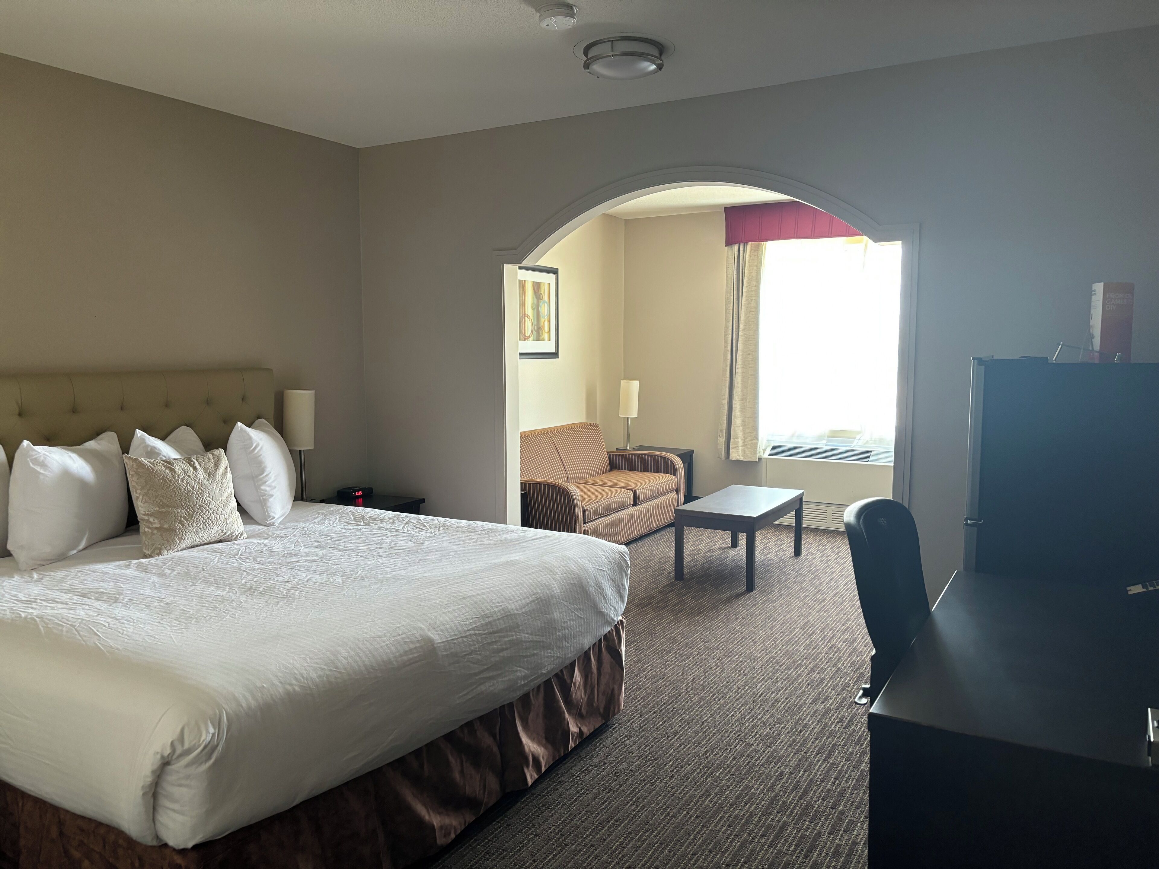 Una habitación de hotel con una cama grande, un escritorio, una silla y un sofá.