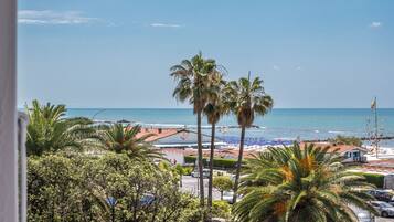 A coastal view with palm trees, a beach, and a clear sky.