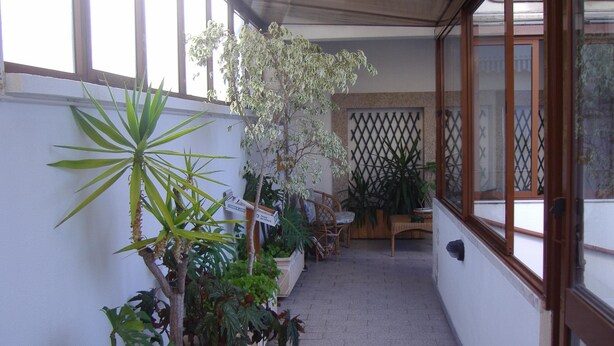 Un couloir étroit, avec des plantes en pot d’un côté et un banc en bois de l’autre.
