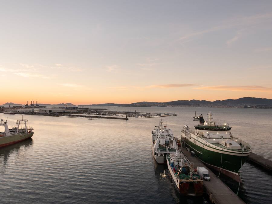 A harbor with multiple ships docked, a pier, and distant hills.