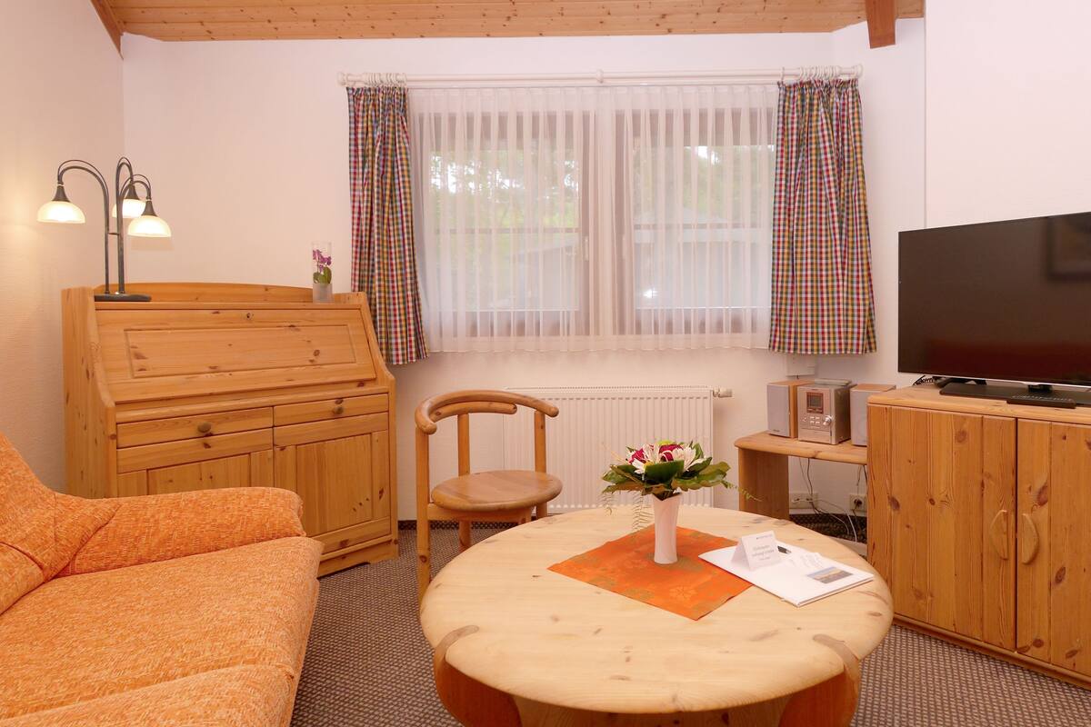 Ein gemütliches Zimmer mit einem Holzkasten, einem Fernseher, einem Holzstuhl, einem kleinen Tisch mit Blumen in einer Vase und einem Sofa.
