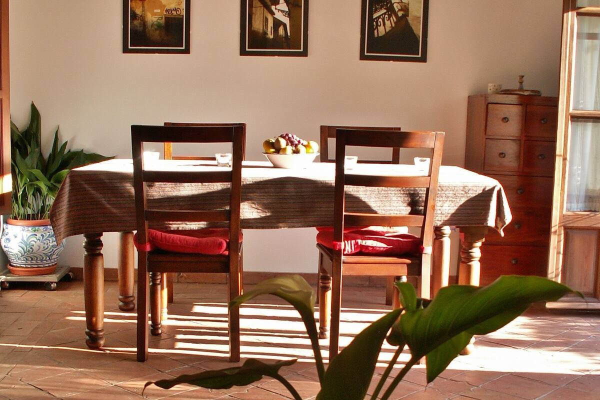 Un comedor con una mesa, sillas, un florero con una planta y un control remoto sobre un mantel.